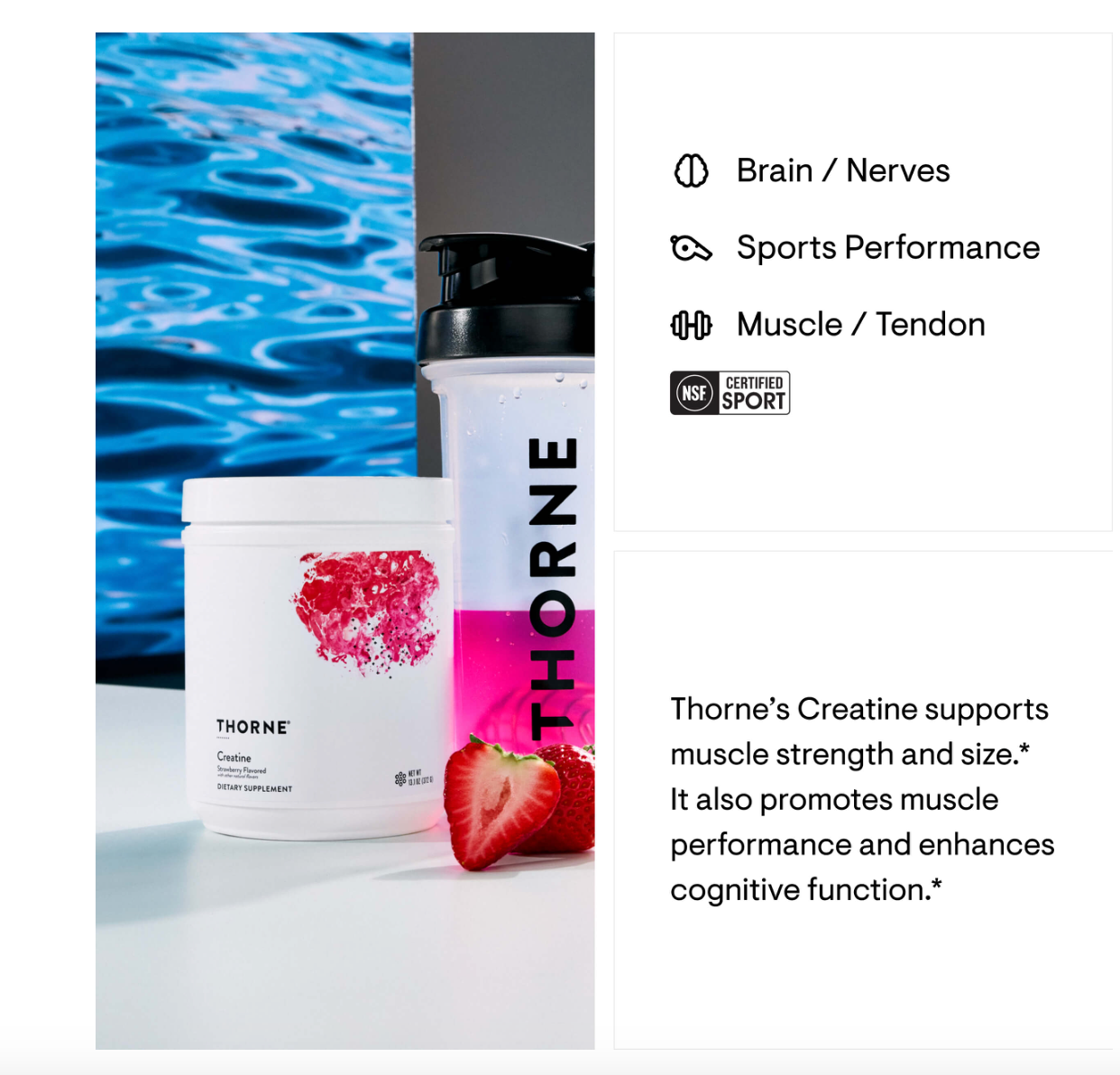 Creatine - Strawberry