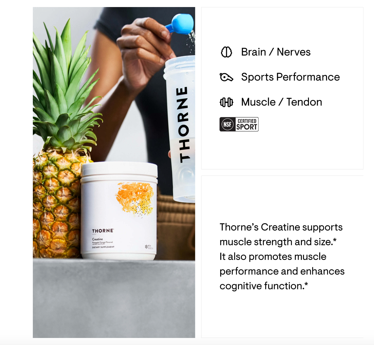 Creatine - Pineapple Orange